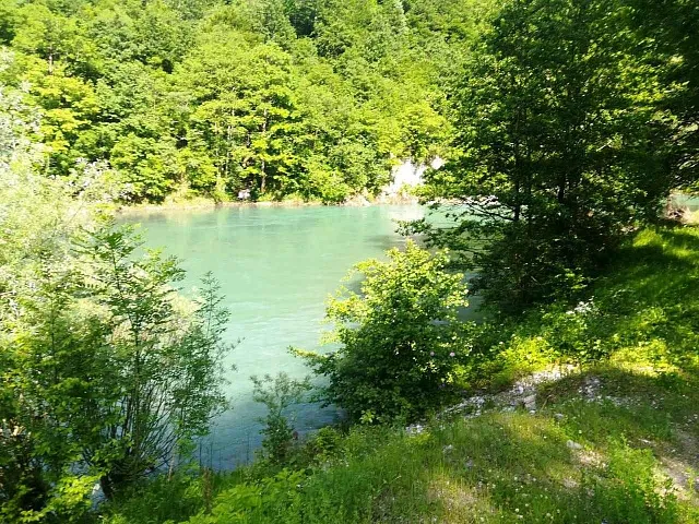 Plot on the bank of the river Tara — photo 9